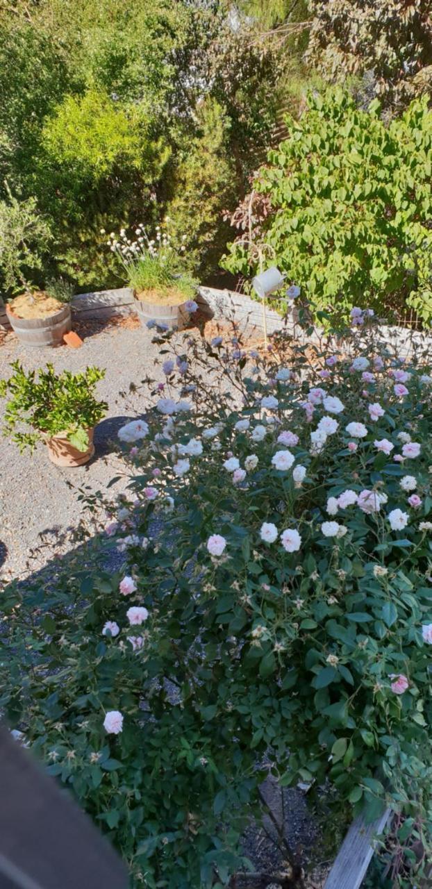 Astley Cottage Daylesford Exterior foto